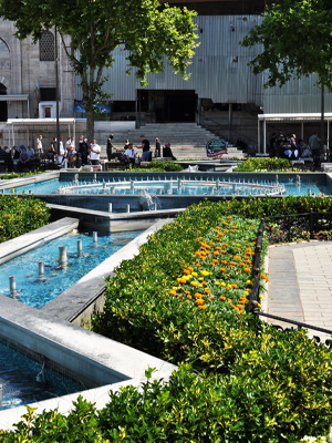 Commercial Landscaping